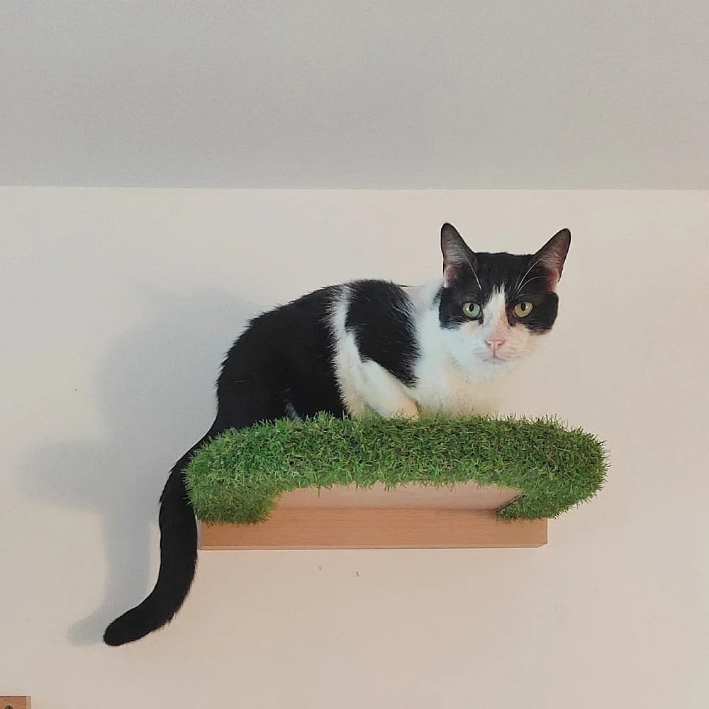 cama estantería para gatos con césped feline wish