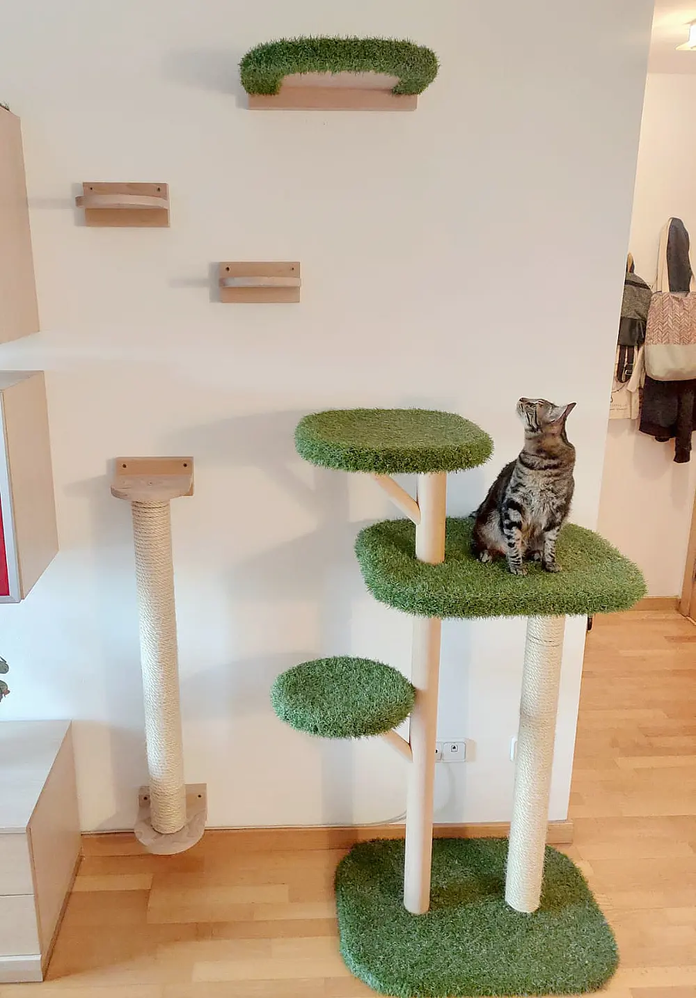 gatificación pared con rascador y muebles de pared para gatos